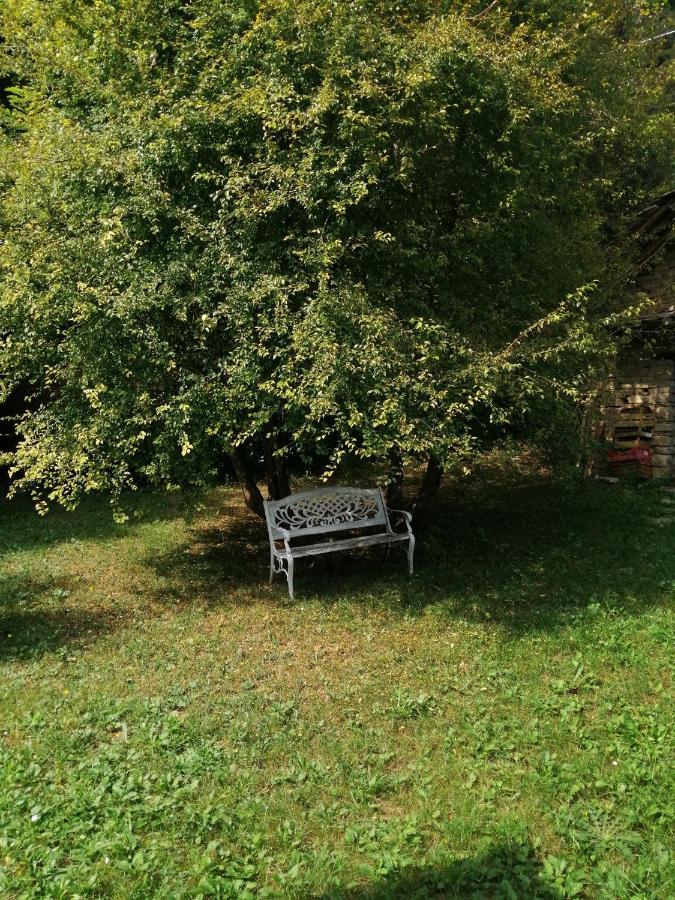 A Casa Di Anna Bed & Breakfast Cortemilia Luaran gambar